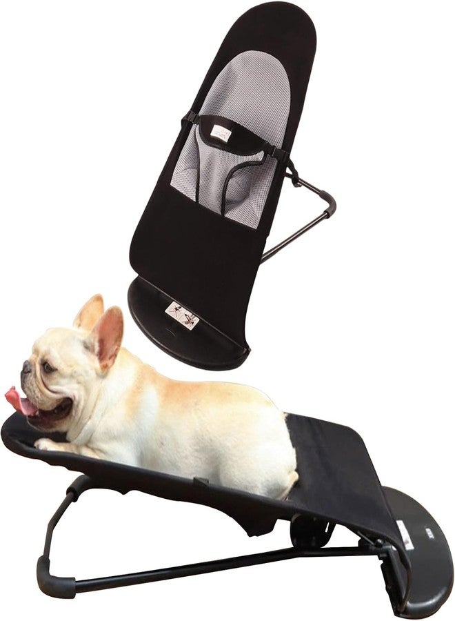 Suicune Cat Hammock Hanging Pet Rocking Chair Dog Bed Dog Lounge Chair Portable Mesh Chair Cat Bed Cat and Dog Hammock Cat and Dog Pet Products - Image 1